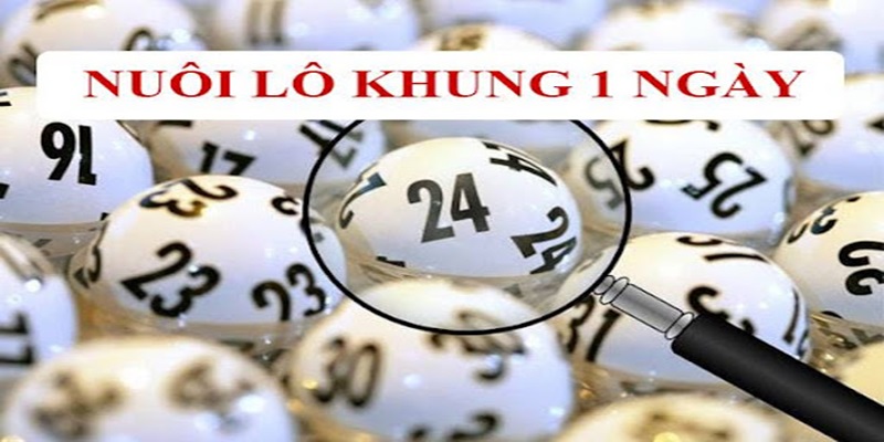 Nắm bắt kinh nghiệm nuôi khung mang lại kết quả tối ưu 