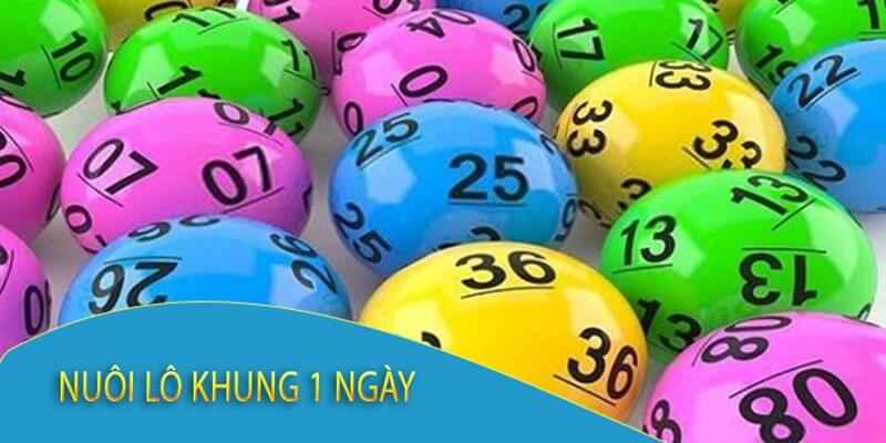 Nuôi lô khung 1 ngày được đánh giá cao hiện nay