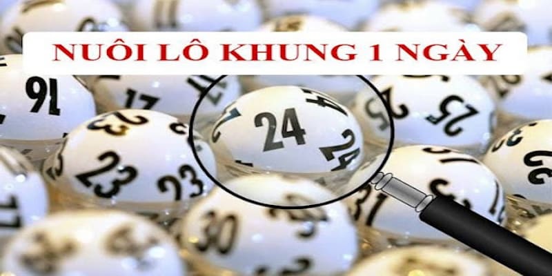 Nuôi lô khung trong 1 ngày là phương pháp soi cầu hiệu quả